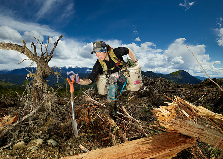 McMichael Gallery - Rita Leistner: The Tree Planters
