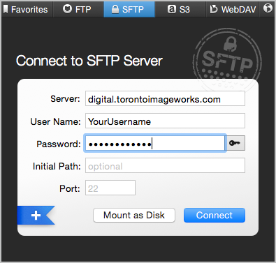 FAQ SFTP Connection